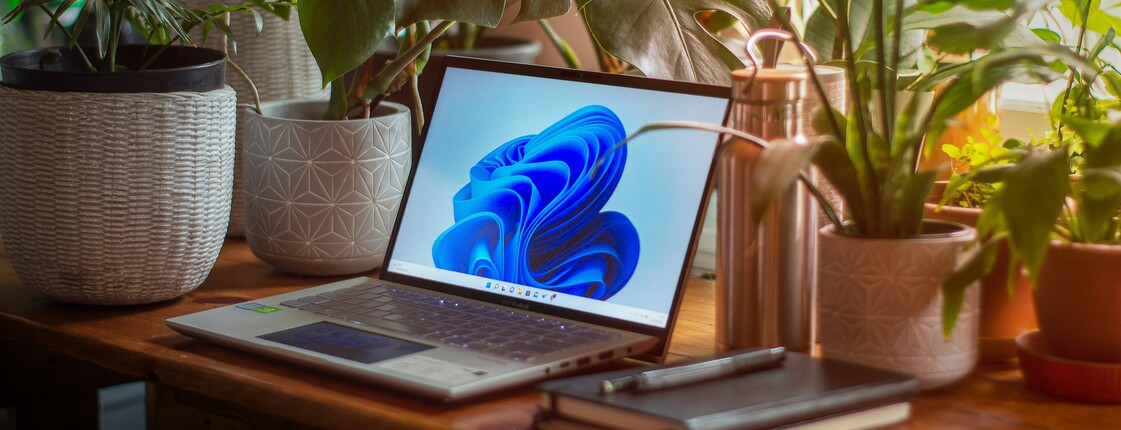 Ein aufgeklappter, von Zimmerpflanzen umgebener Laptop steht auf einem Holzschreibtisch.