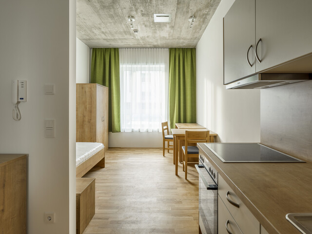 Eine vollmöblierte, helle Neubauwohnung mit Parkettboden.