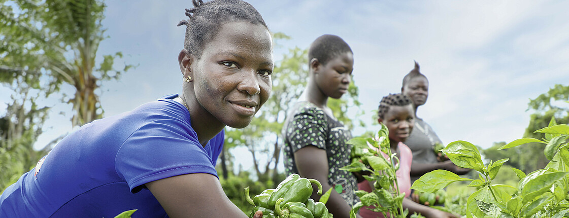 Frauen im Südsudan bei der Gemüseernte.