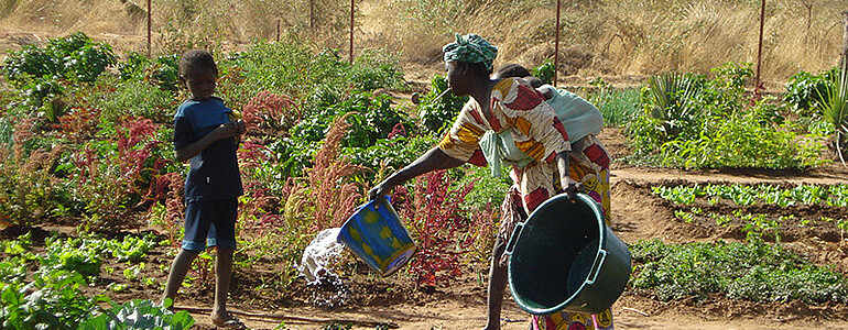 Eine Frau bewässert ihren Gemüsegarten.