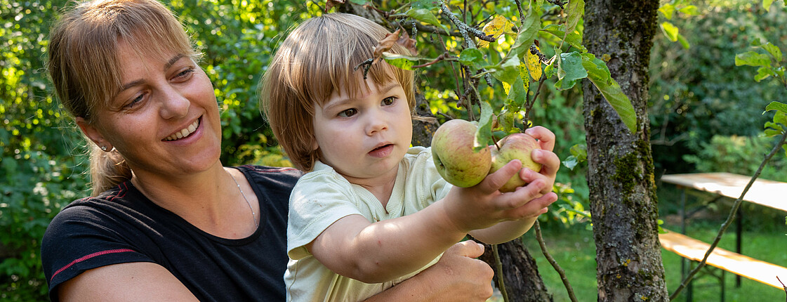 Ein Junge, der von einer Kleinkindpädagogin hochgehalten wird, pflückt einen Apfel von einem Baum.